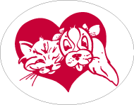 La Feuille de L'Animal La Feuille de L'Animal